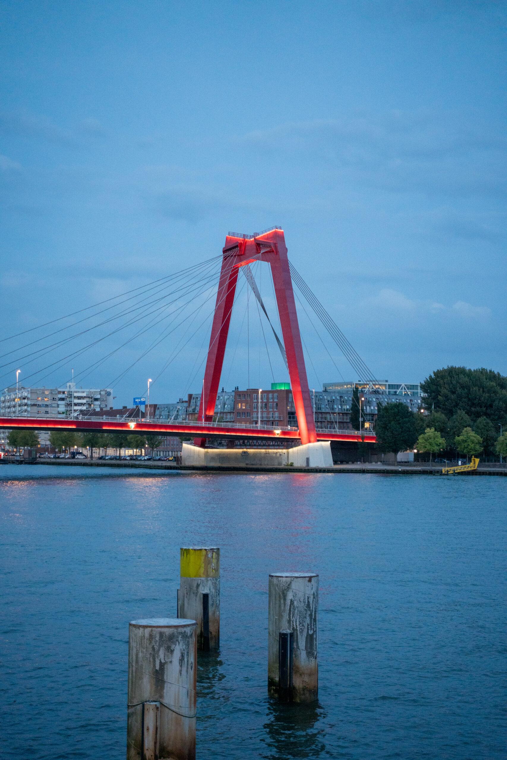 De Willems brug verlicht in de avond, iconisch stadsbeeld van Rotterdam aan het water.